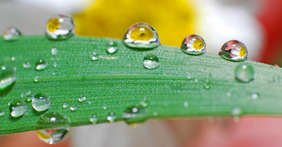 Wassertropfen
